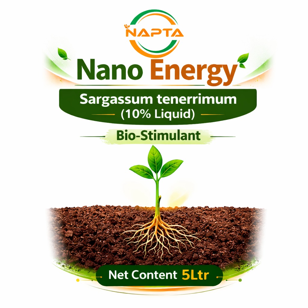 Nano Energy